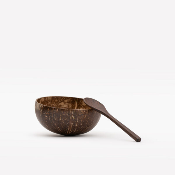Coconut bowl